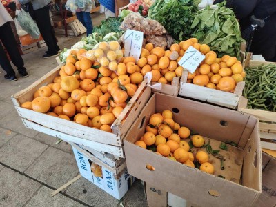 WhatsApp Image 2025-11-14 at 09.23.24 (1).jpeg